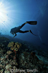 Bangka - Diver and sun burst.
10-22mm canon 350D full frame by Stew Smith 